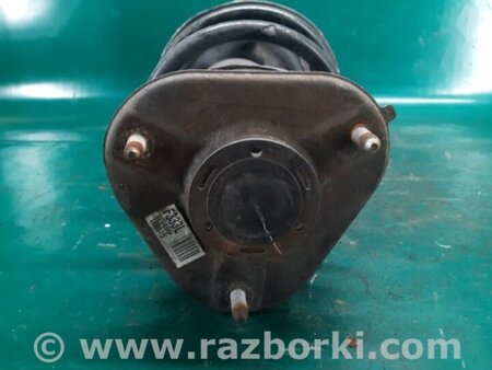 ФОТО Амортизатор для Toyota Prius IV XW50 (15-22) Київ