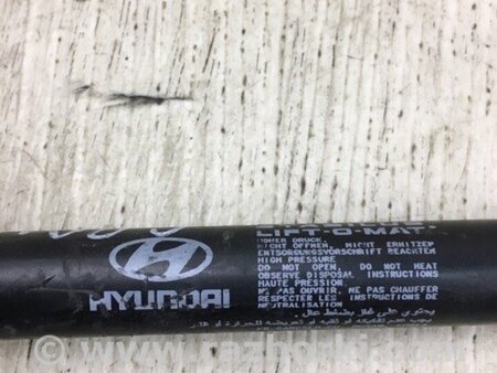 ФОТО Амортизатор кришки багажника для Hyundai Grandeur IV TG (05-11) Київ