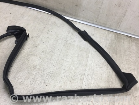 ФОТО Ущільнювач дверей для Lexus RX350/450 (2015-) Київ