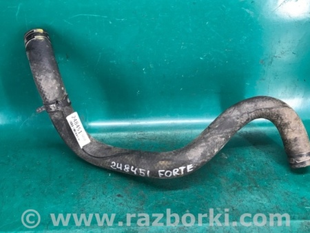 ФОТО Патрубок системи охолодження для KIA Cerato 2 TD (08-12) Київ