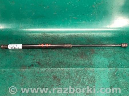 ФОТО Амортизатор кришки багажника для Ford Fiesta Mk6 (2008-2017) Київ