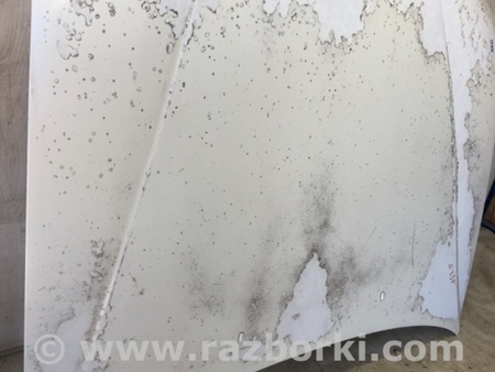 ФОТО Капот для Lexus ES300 (96-01) Київ