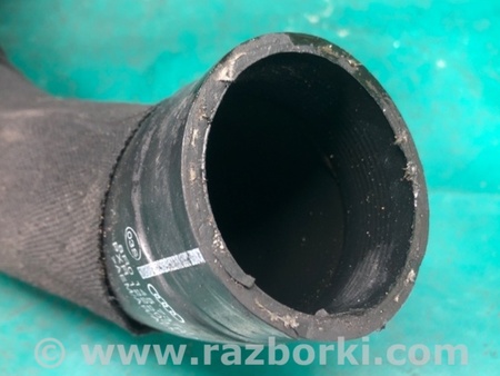 ФОТО Патрубок інтеркулера для Audi (Ауди) Q5 I 8R (08-17) Київ