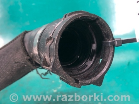 ФОТО Патрубок системи охолодження для Audi (Ауди) Q5 I 8R (08-17) Київ