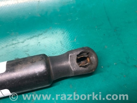 ФОТО Амортизатор кришки багажника для Audi (Ауди) Q5 I 8R (08-17) Київ