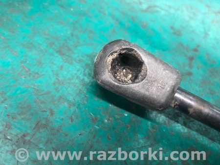 ФОТО Амортизатор кришки багажника для Audi (Ауди) Q5 I 8R (08-17) Київ