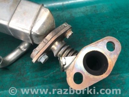 ФОТО Радіатор системи EGR для Nissan Altima (2019-) Київ