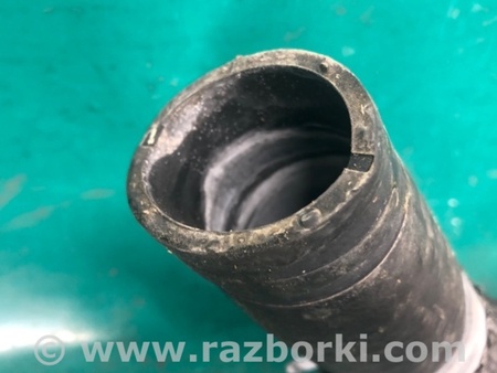 ФОТО Патрубок системи охолодження для Nissan Altima (2019-) Київ