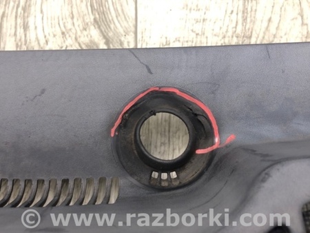 ФОТО Пластик під лобове скло / Жабо для Lincoln MKZ II (12-16) Київ