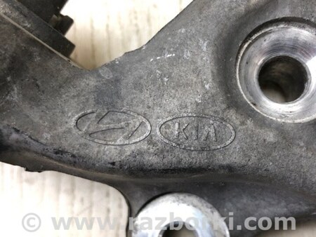 ФОТО Цапфа для KIA Niro 1 DE (16-22) Київ