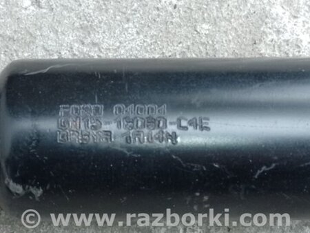 ФОТО Амортизатор для Ford Ecosport (18-22) Київ