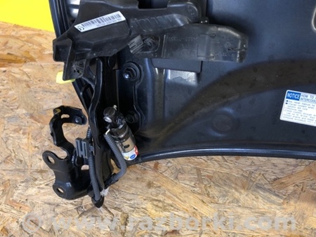 ФОТО Капот для Lexus LS500 (2018-) Київ