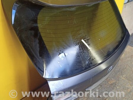 ФОТО Кришка багажника для Lexus RX350/450 (09-15) Київ
