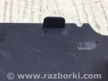 ФОТО Накладка дверей внутрішня для Ford Mustang Mk6 (15-23) Київ