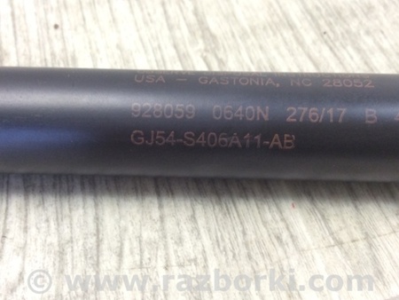 ФОТО амортизатор двері багажника для Ford Escape 3 (01.2012-12.2018) Київ