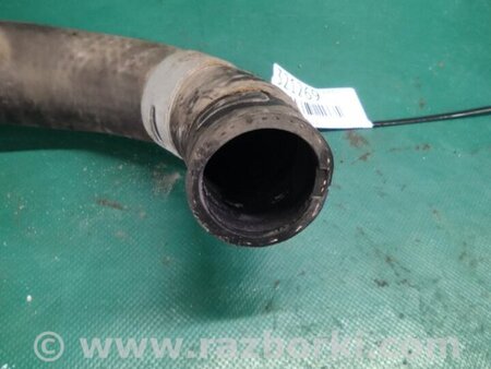 ФОТО Патрубок системи охолодження для Hyundai Elantra VI AD (15-20) Київ