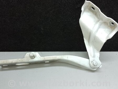 ФОТО Петля капоту для Audi (Ауди) Q5 I 8R (08-17) Київ