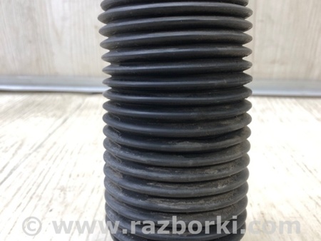 ФОТО Пильовик амортизатора для Hyundai Elantra IV HD (06-11) Київ