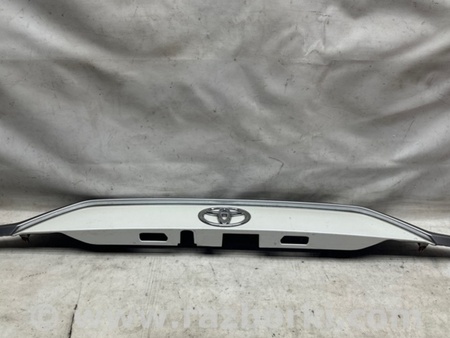 ФОТО Панель підсвічування номера для Toyota RAV-4 V XA50 (18-25) Київ