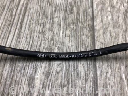 ФОТО Датчик ABS для KIA Forte BD (18-21) Київ