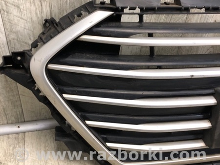 ФОТО Решітка радіатора для Hyundai Elantra VI AD (15-20) Київ