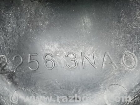 ФОТО Заглушка протитуманних фар для Nissan LEAF (10-17) Київ