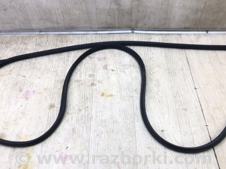 ФОТО Ущільнювач дверей для Ford Focus 3 (01.2010 - 03.2018) Київ