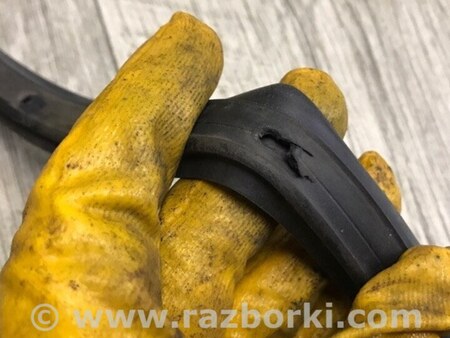 ФОТО Ущільнювач дверей для Ford Focus 3 (01.2010 - 03.2018) Київ