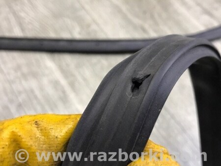 ФОТО Ущільнювач дверей для Ford Focus 3 (01.2010 - 03.2018) Київ