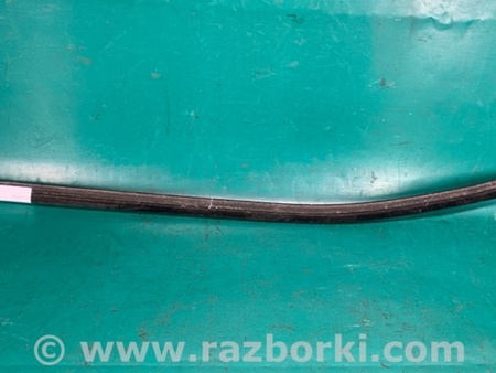 ФОТО Молдинг двері для Nissan NV200 USA (2013-) Київ