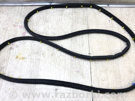 ФОТО Ущільнювач дверей для Ford Escape 3 (01.2012-12.2018) Київ
