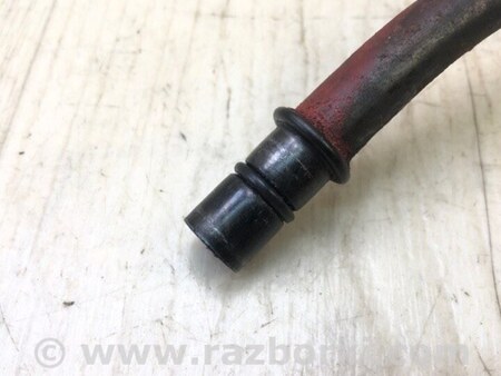 ФОТО Масляний щуп АКПП для Toyota Camry 40 XV40 (06-11) Київ