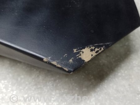 ФОТО Панель підсвічування номера для Honda Civic X cедан FC1/FC2/FC3/FC4 (15-22) Київ