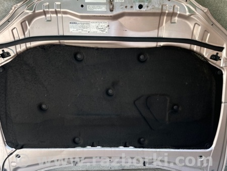ФОТО Капот для Lexus ES350 (06-12) Київ