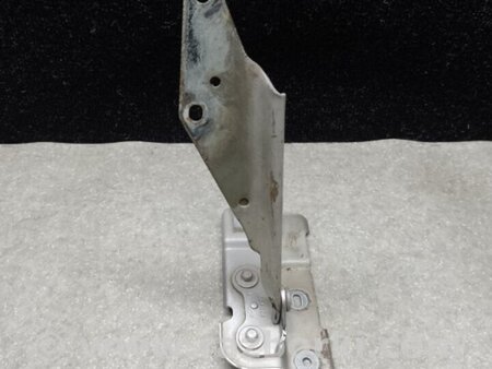 ФОТО Петля капоту для Ford Flex (06.2008-12.2019) Київ