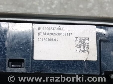 ФОТО плафон салону для Tesla Model Y Київ