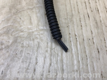 ФОТО Замок ременя безпеки для Lexus RX350/450 (2015-) Київ