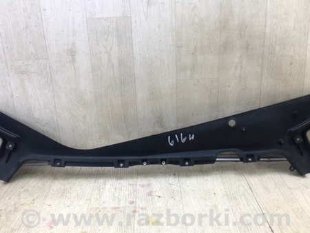 ФОТО Пластик під лобове скло / Жабо для Tesla Model Y Київ