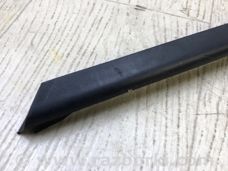 ФОТО Молдинг стекла для Audi (Ауди) A4 V B9 - 8W (2015-) Київ