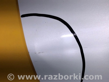 ФОТО Двері для Ford Mustang MACH-E (2019-) Київ