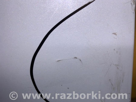 ФОТО Двері для Ford Mustang MACH-E (2019-) Київ