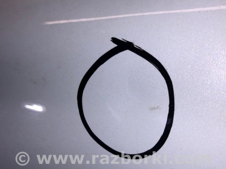 ФОТО Двері для Ford Mustang MACH-E (2019-) Київ