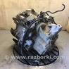 ФОТО Автоматична трансмісія для Ford Focus 3 (01.2010 - 03.2018) Київ