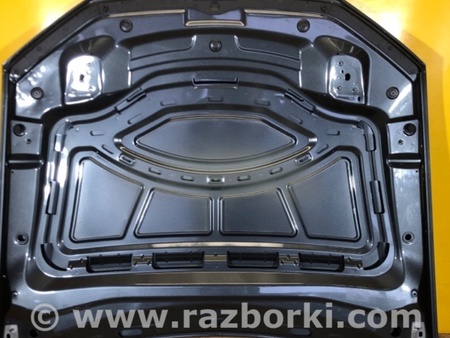 ФОТО Капот для Audi (Ауди) Q8 4M (06.2018-...) Київ