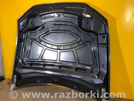 ФОТО Капот для Audi (Ауди) Q8 4M (06.2018-...) Київ