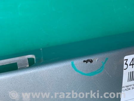 ФОТО Панель підсвічування номера для Hyundai Santa Fe II CM (06-12) Київ