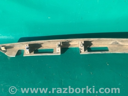 ФОТО Панель підсвічування номера для Lexus RX350/450 (09-15) Київ