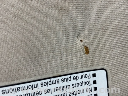 ФОТО Козирок сонцезахисний для Toyota Avalon XX30 (12.2004-10.2012) Київ