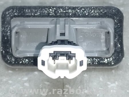 ФОТО Підсвічування номера для Toyota Prius IV XW50 (15-22) Київ