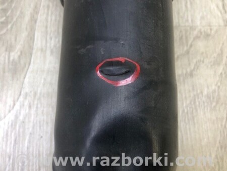 ФОТО Амортизатор для Volkswagen Tiguan (2016-) Київ